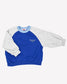 Color Block Sweatshirt - Blue